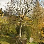 Feissesberghof Loft Mit Panorama Alleinlage Im Schwarzwald