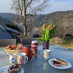 公寓 Feissesberghof Loft Mit Panorama Alleinlage Im Schwarzwald 特里贝格