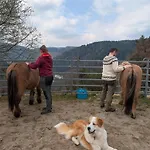 Feissesberghof Loft Mit Panorama Alleinlage Im Schwarzwald 公寓 *