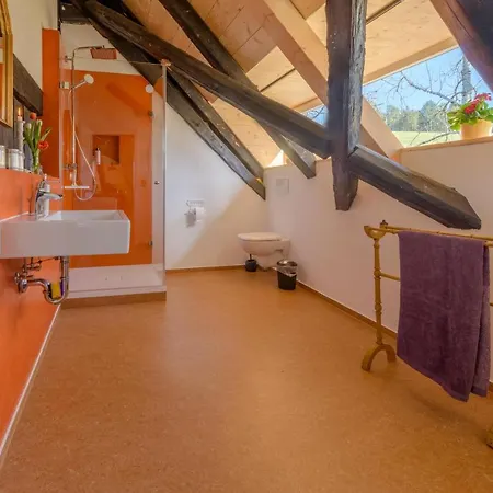 Apartment Feissesberghof - In Der Tenne Triberg im Schwarzwald