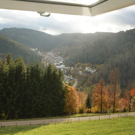 Feissesberghof - In Der Tenne Apartment