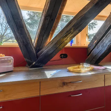 Apartment Feissesberghof - In Der Tenne Triberg im Schwarzwald