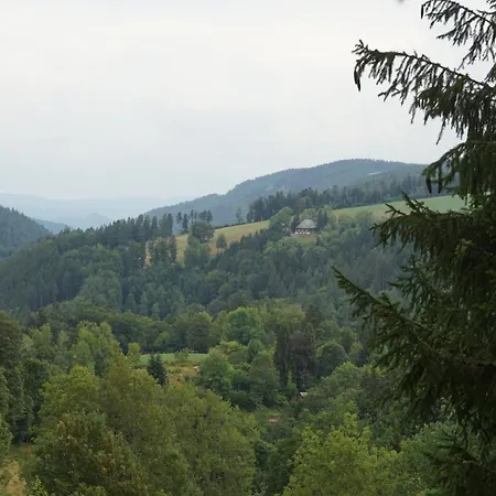 Feissesberghof Loft Mit Panorama Alleinlage Im Schwarzwald Triberg im Schwarzwald