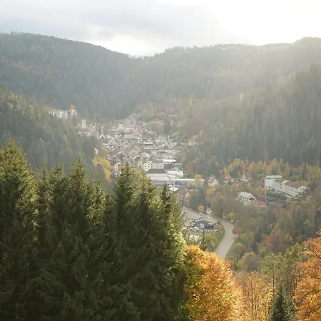 Lejlighed Feissesberghof Loft Mit Panorama Alleinlage Im Schwarzwald *