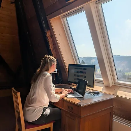 Lejlighed Feissesberghof Loft Mit Panorama Alleinlage Im Schwarzwald