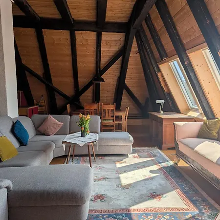Apartment Feißesberghof - In Der Tenne Triberg im Schwarzwald