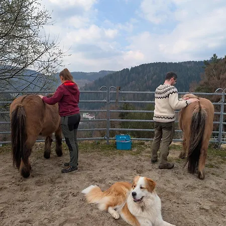 Feissesberghof Loft Mit Panorama Alleinlage Im Schwarzwald Lejlighed *