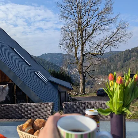 Feissesberghof Loft Mit Panorama Alleinlage Im Schwarzwald Lejlighed