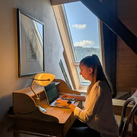 Feissesberghof Loft Mit Panorama Alleinlage Im Schwarzwald *