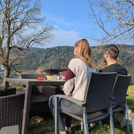 Lejlighed Feissesberghof Loft Mit Panorama Alleinlage Im Schwarzwald *